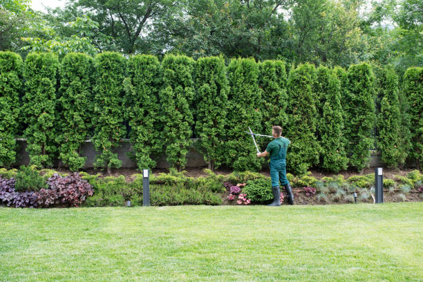 Best Lawn Maintenance Plans  in Gettysburg, PA